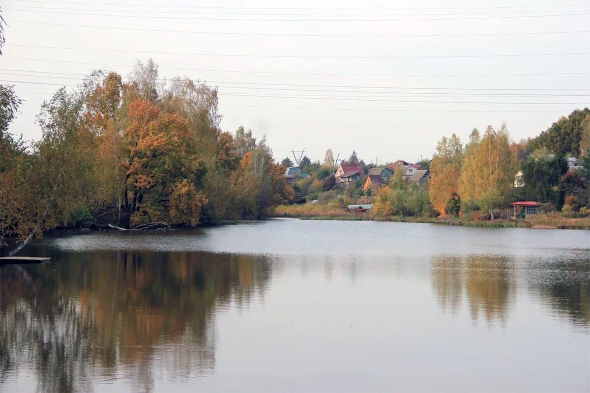 Фото: ИА "Регион 71"