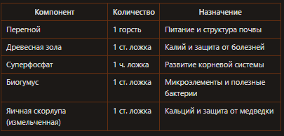 Добавки в лунку при посадке огурцов