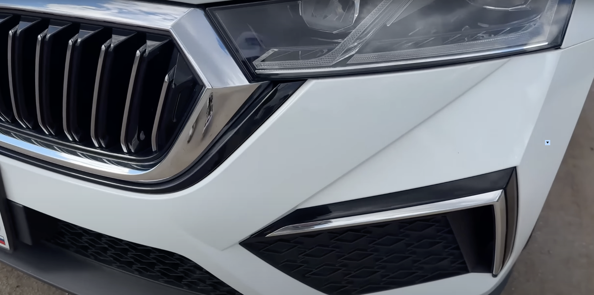 Зубы и крыки дракона