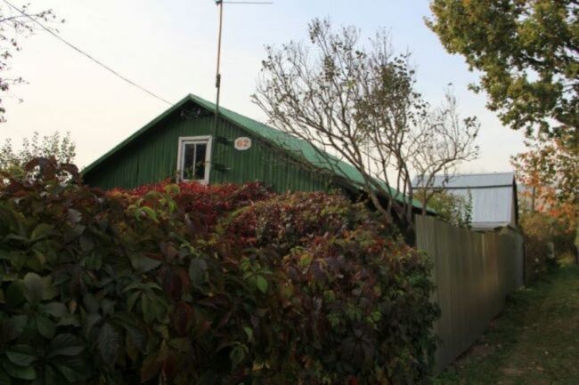 Фото: ИА "Регион 71"