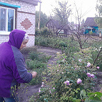    /home/web/web/gazeta suzemka.ru/public html/wp content/uploads/2025/06/photo 2025 06 17 08 54 10.crop 144×144 SiteEditor