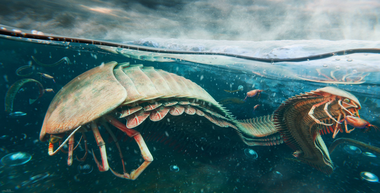 Замороженный во времени: древний организм возрастом 444 млн лет