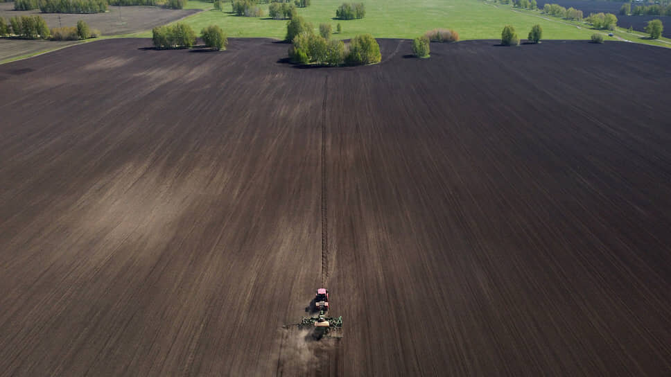 Фото: Влад Некрасов / Коммерсантъ