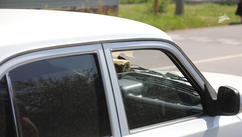      Фото: Дмитрий Ахмадулин / / ИА «Победа26»