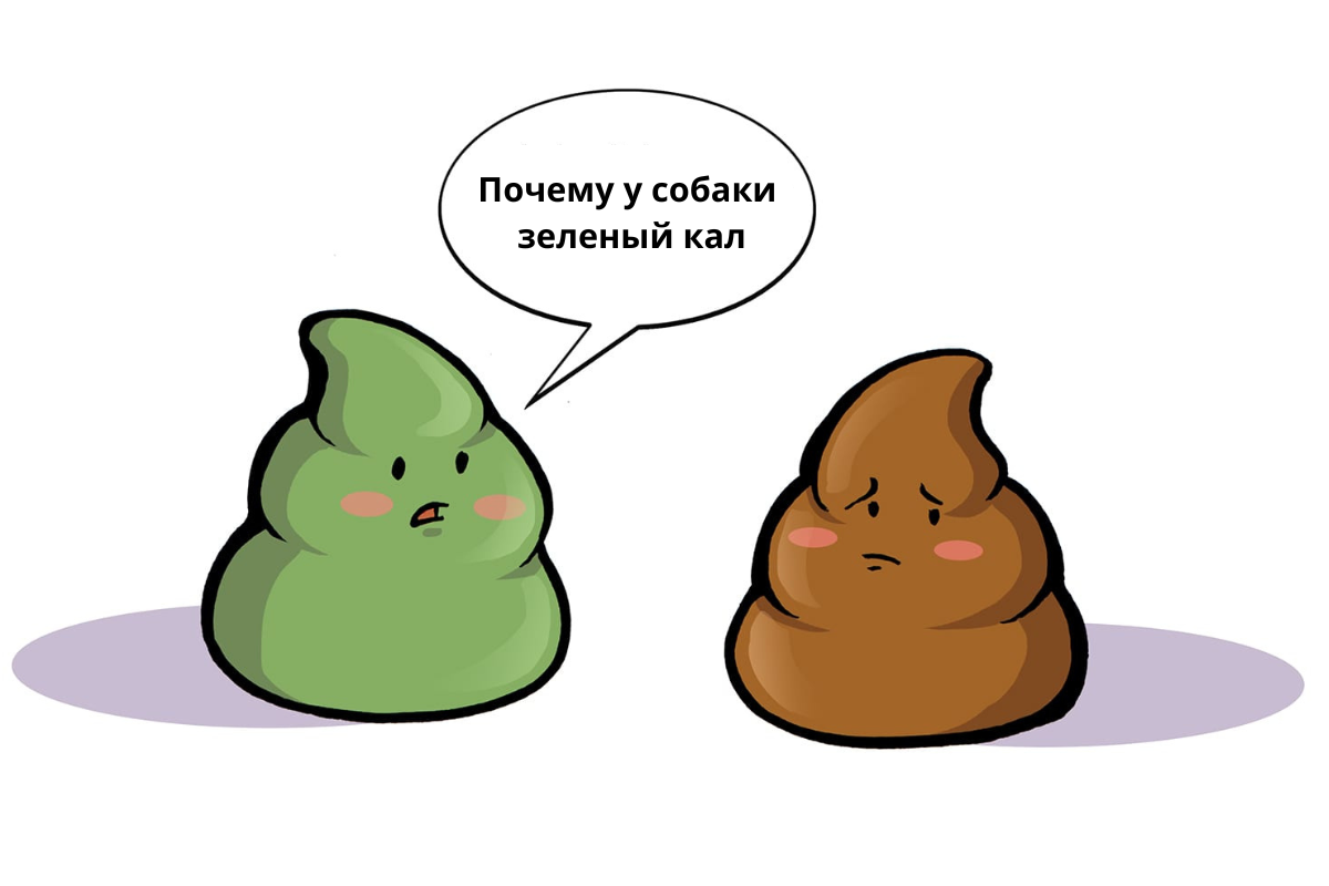 У собаки зеленый кал – почему?