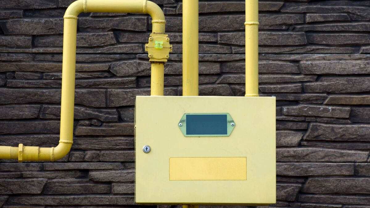    Фото: IhorM/Shutterstock/Fotodom