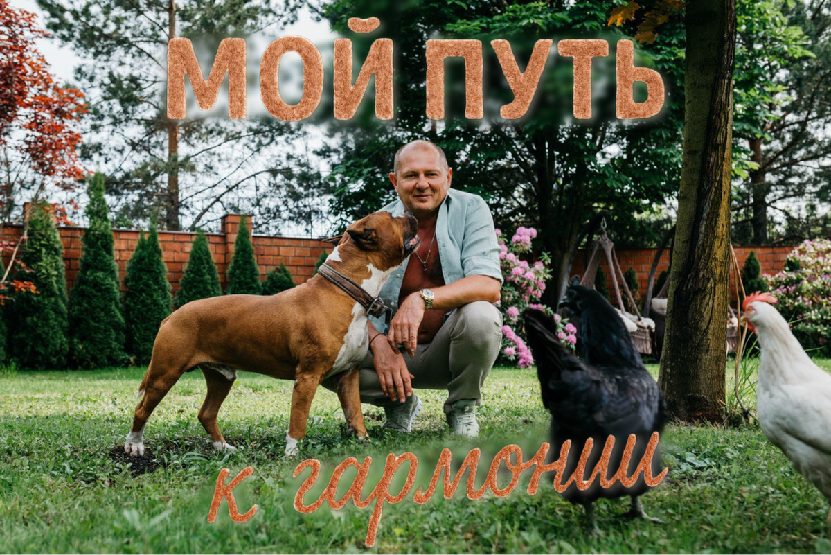 Авторские права защищены. Частичное или полное копирование запрещено.