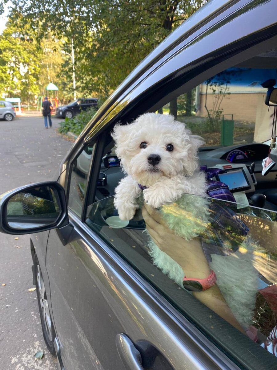 Сразу приучали к путешествиям 