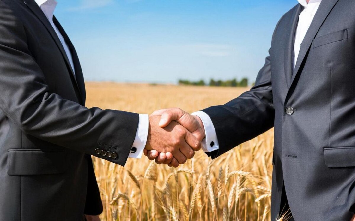    Китай одобрил крупнейшую сделку в мировом АПК: Bunge и Viterra объединяются Иллюстрация сгенерирована нейросетью Kandinsky