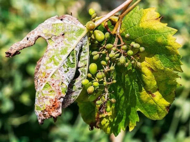    Фото: depositphotos