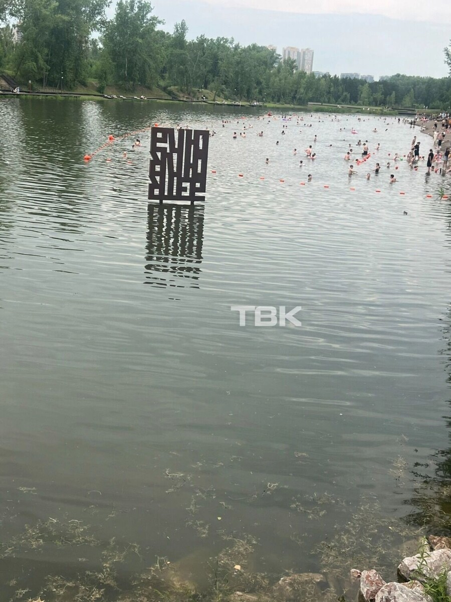     Источник: vk.ru/tvknew