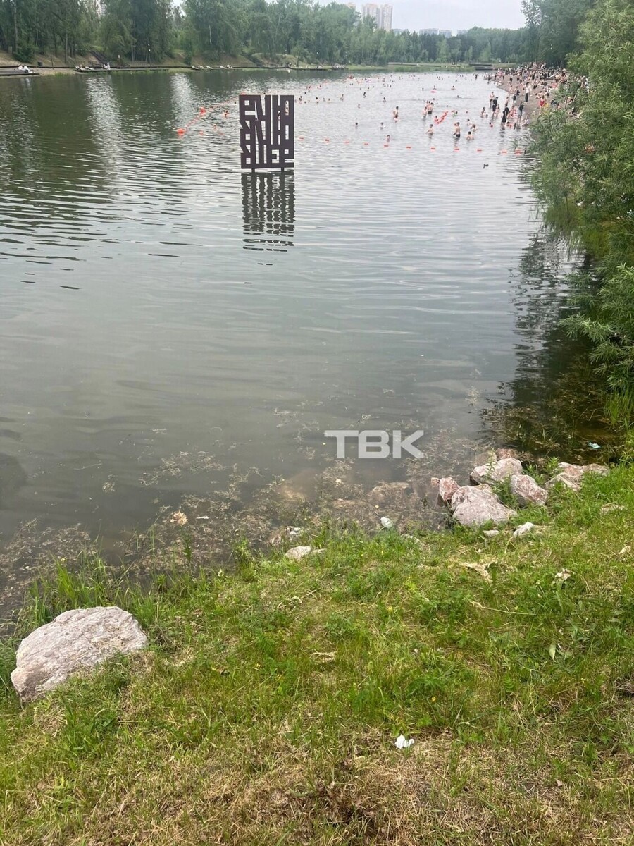     Источник: vk.ru/tvknew