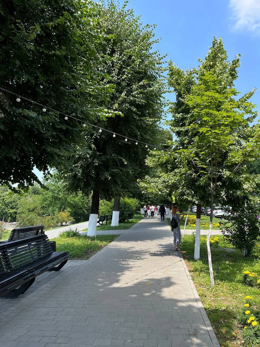 Город утопает в зелени