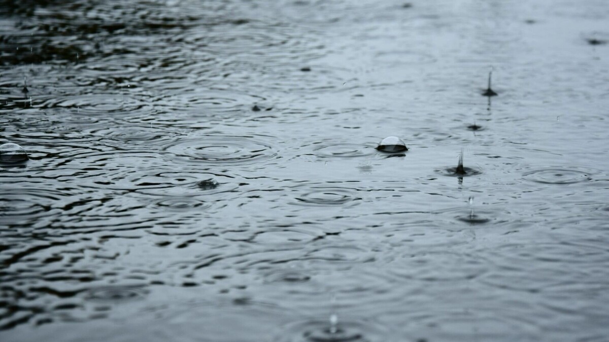     Источник: novostivolgograda.ru