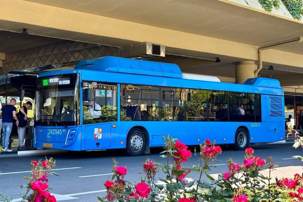    Фото: Telegram\Мэр Сочи Андрей Прошунин