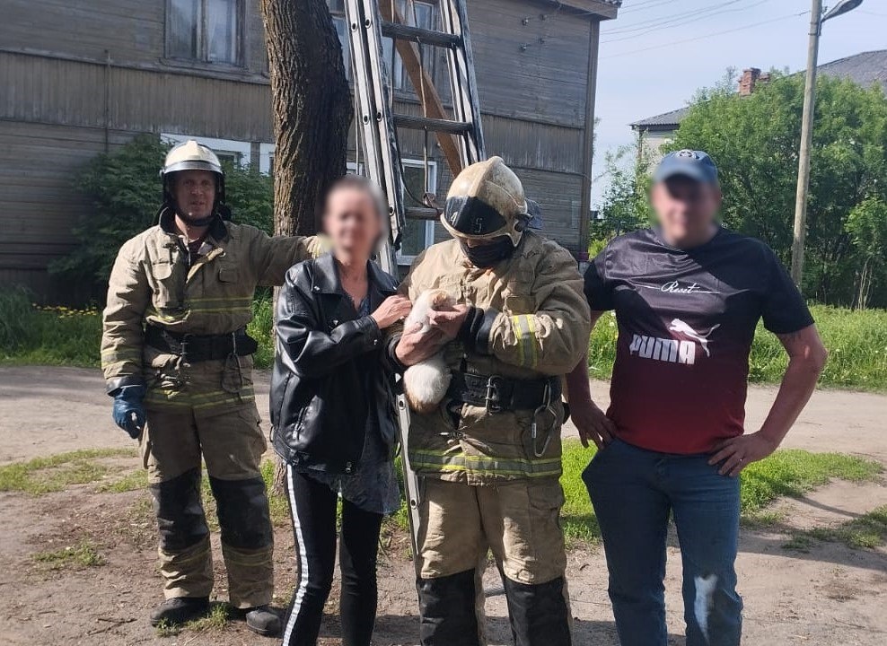    Фото: телеграм-канал Государственного комитета Республики Карелия по обеспечению жизнедеятельности и безопасности населения