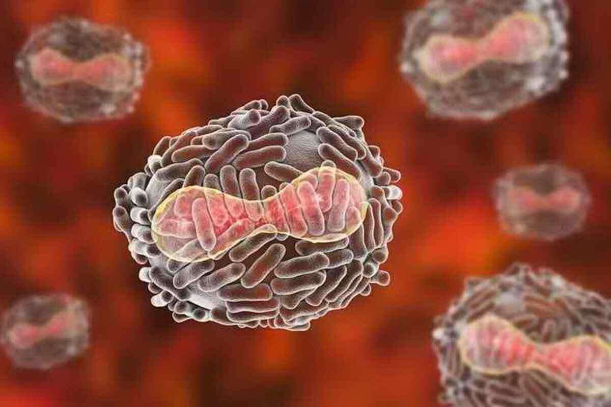 Неизвестные гиганты глубин | Как вирусы правят океаном