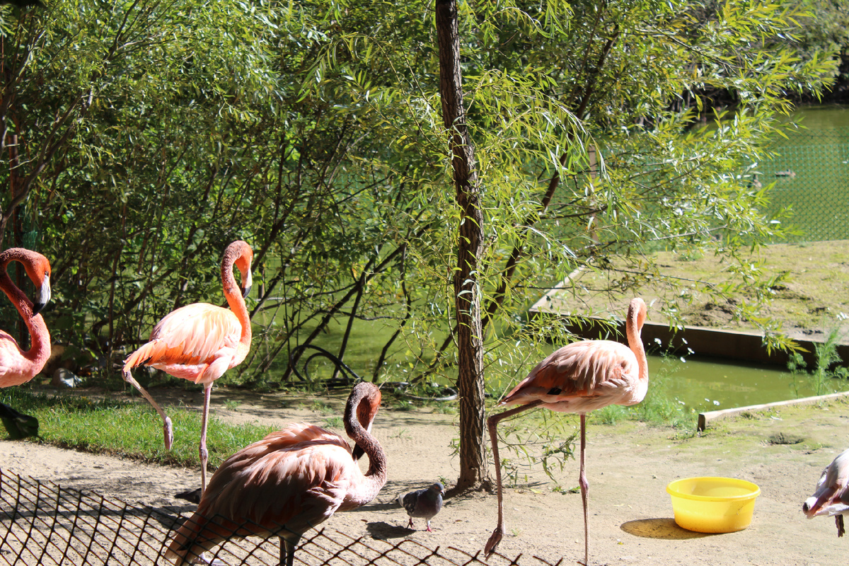 Красноярск, 2023 г. Парк Роев ручей