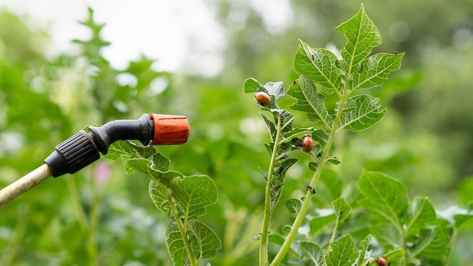 ShutterStock/Fotodom.ru