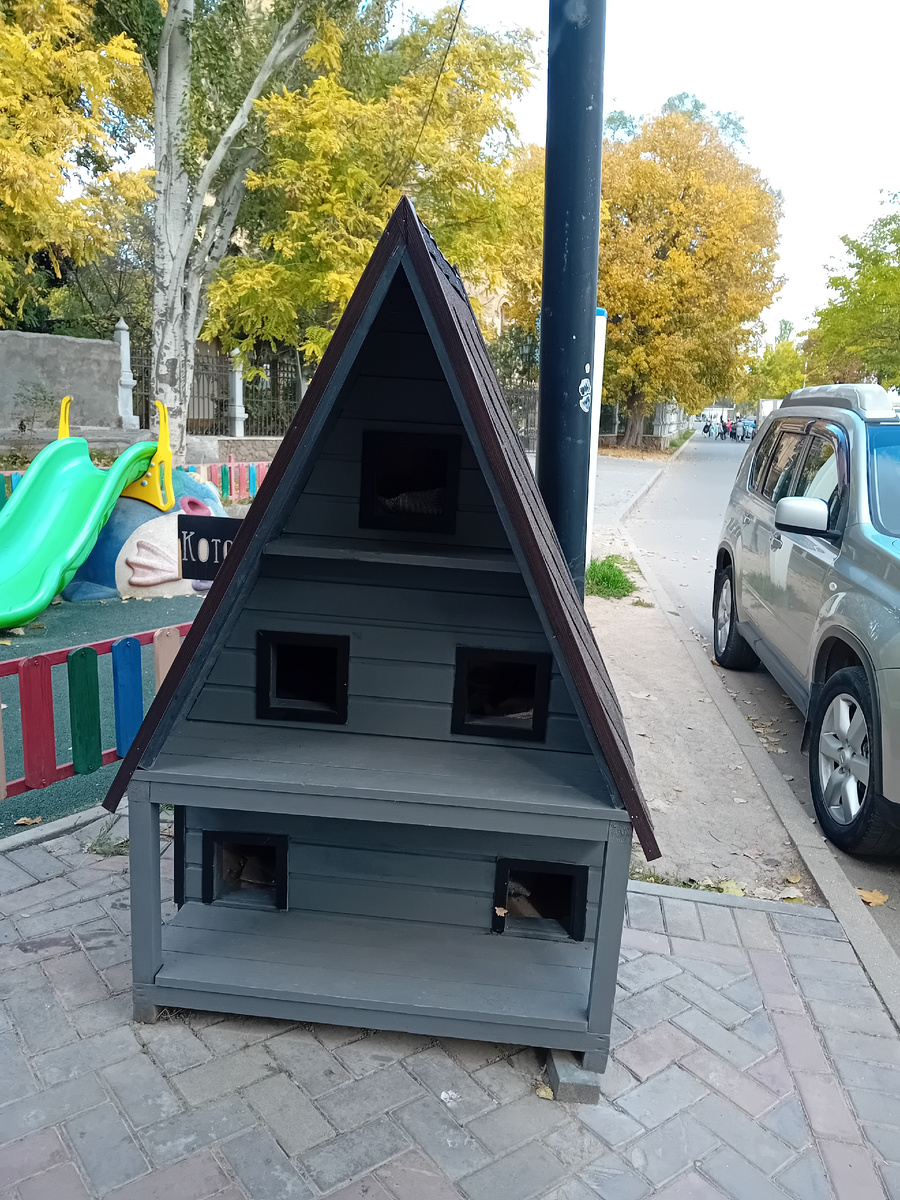 Авторское фото. 