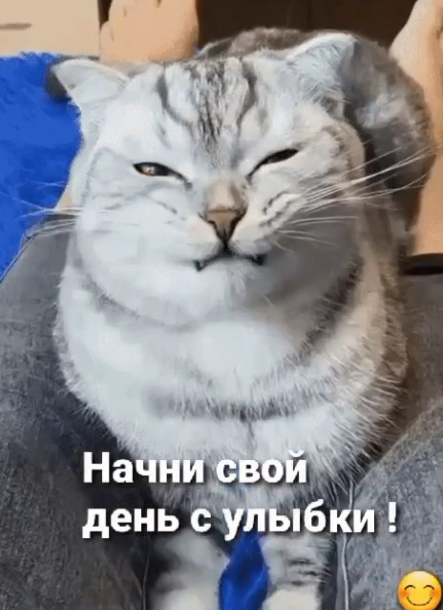 Из открытого источника