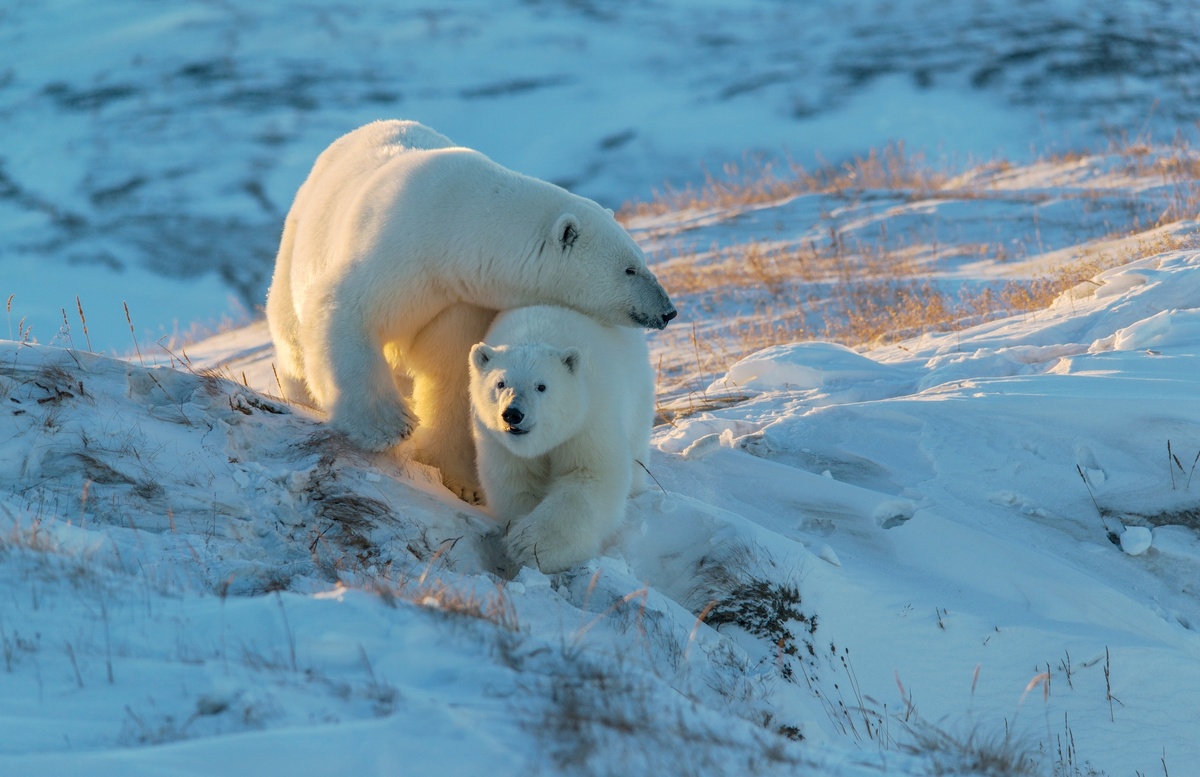 Фото: Деминов Максим / GeoPhoto