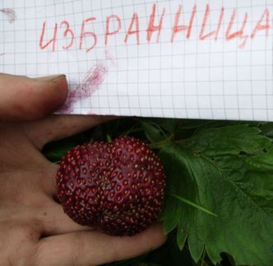 фото автора: 