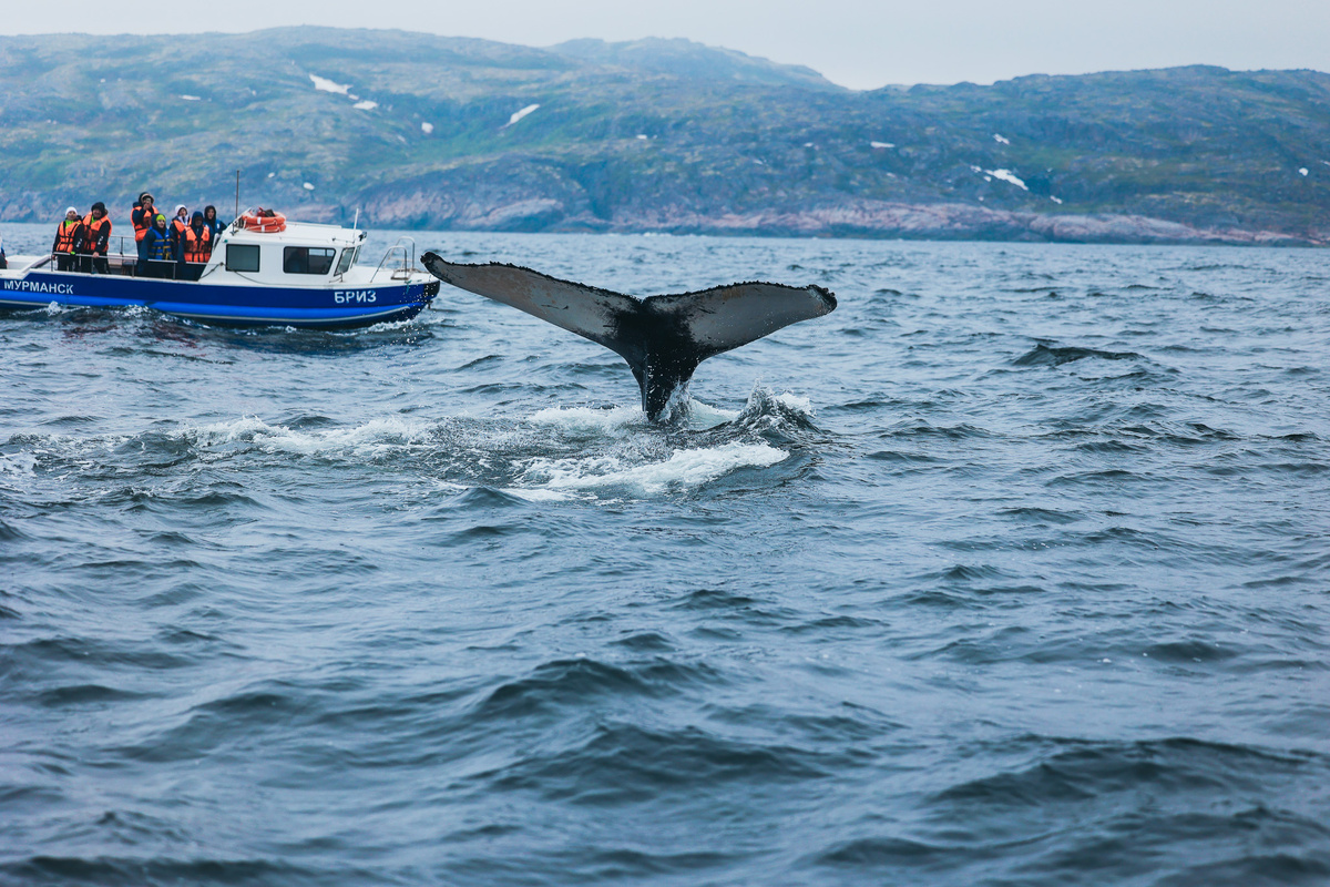 Териберка, июнь 2025