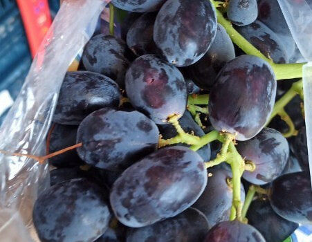    Фото: пресс-служба Южного межрегионального управления Россельхознадзора