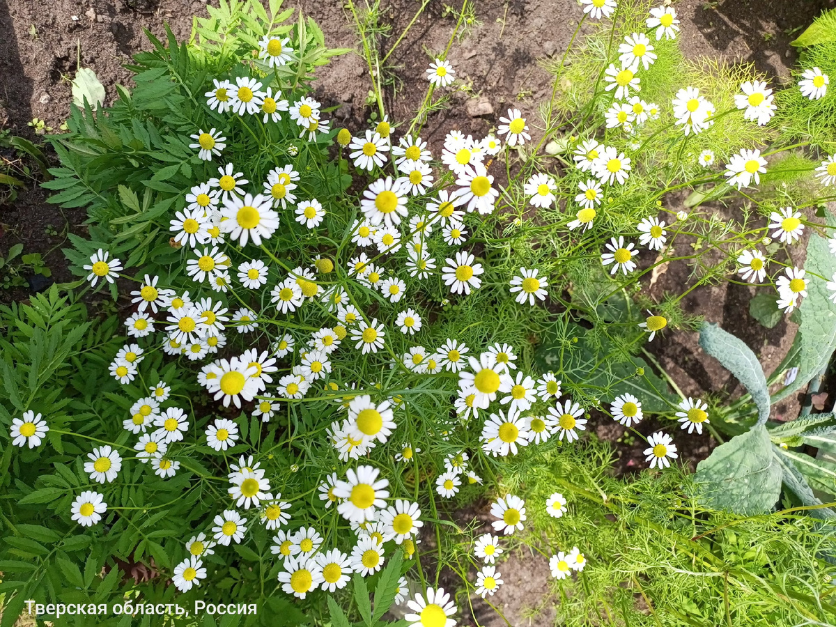 Фото наших покупателей