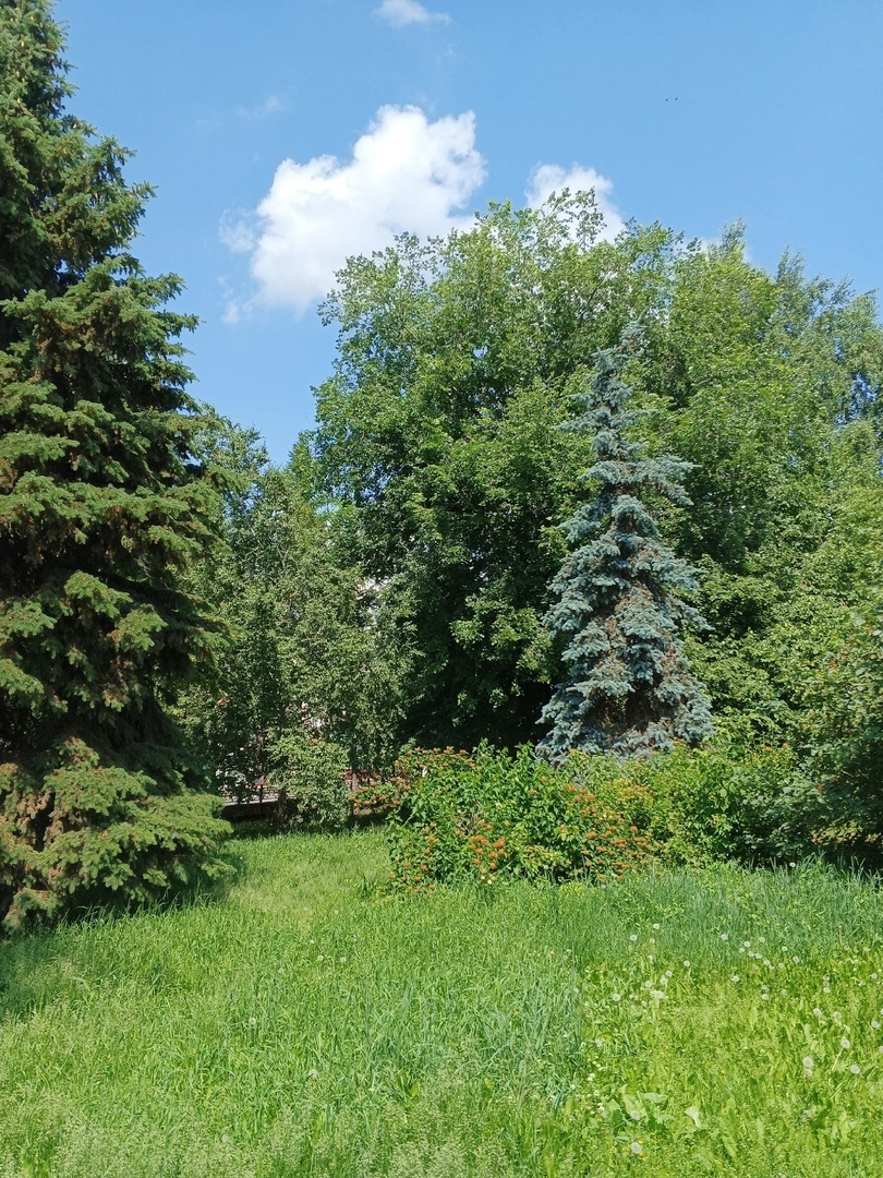 Сквер образца 16.06.2025 (утро)