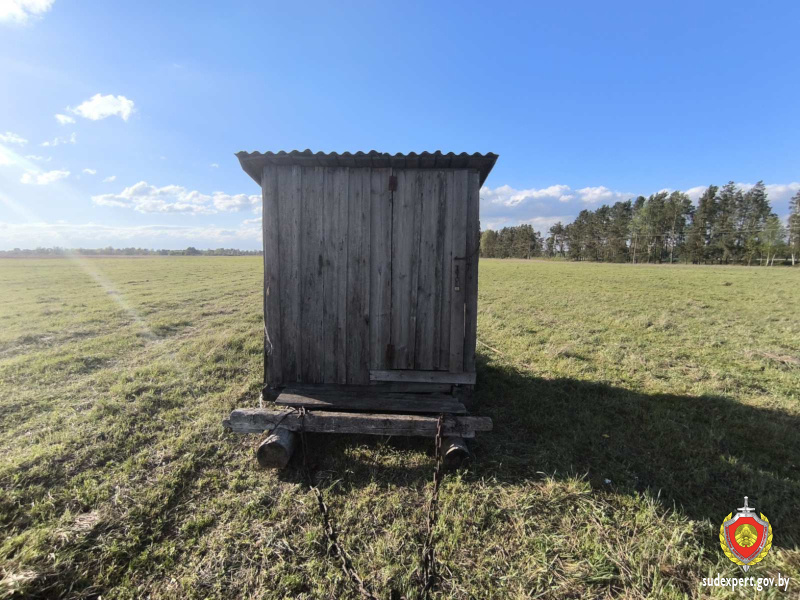 Судмедэксперты рассказали о состоянии жителя Гомельщины, в которого ударила молния