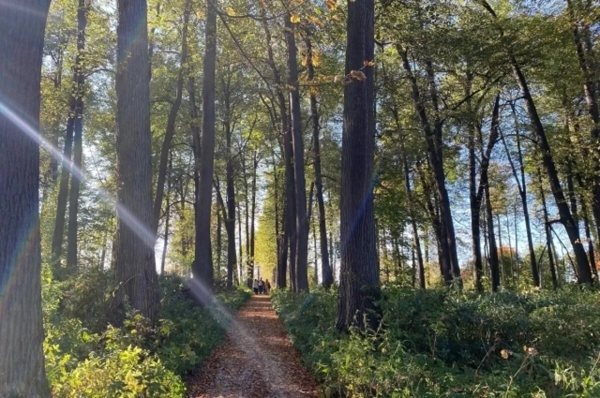    Туляков и гостей области приглашают на «Музыкальные вечера в Федяшево»
