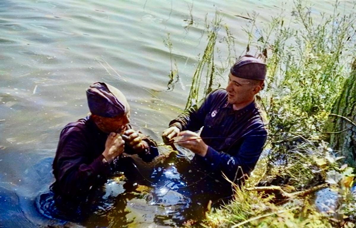 Из свободного источника 