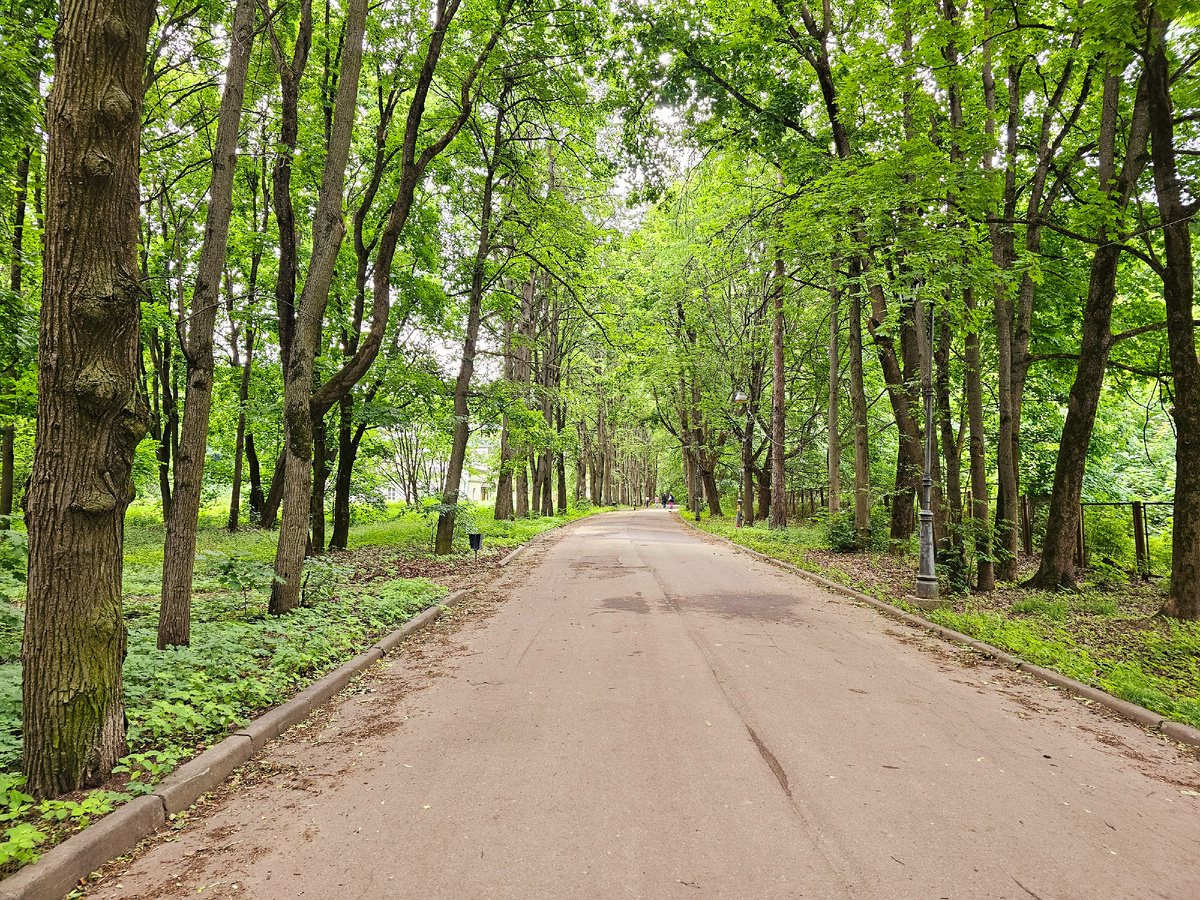 Усадьба Суханово, фото автора