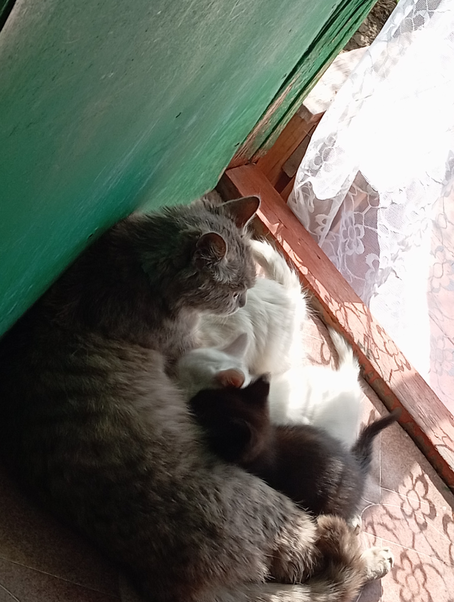 Фото автора