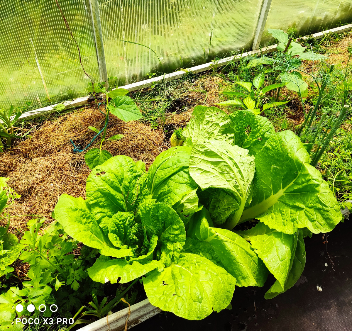 Фото автора  17 июня, 2025