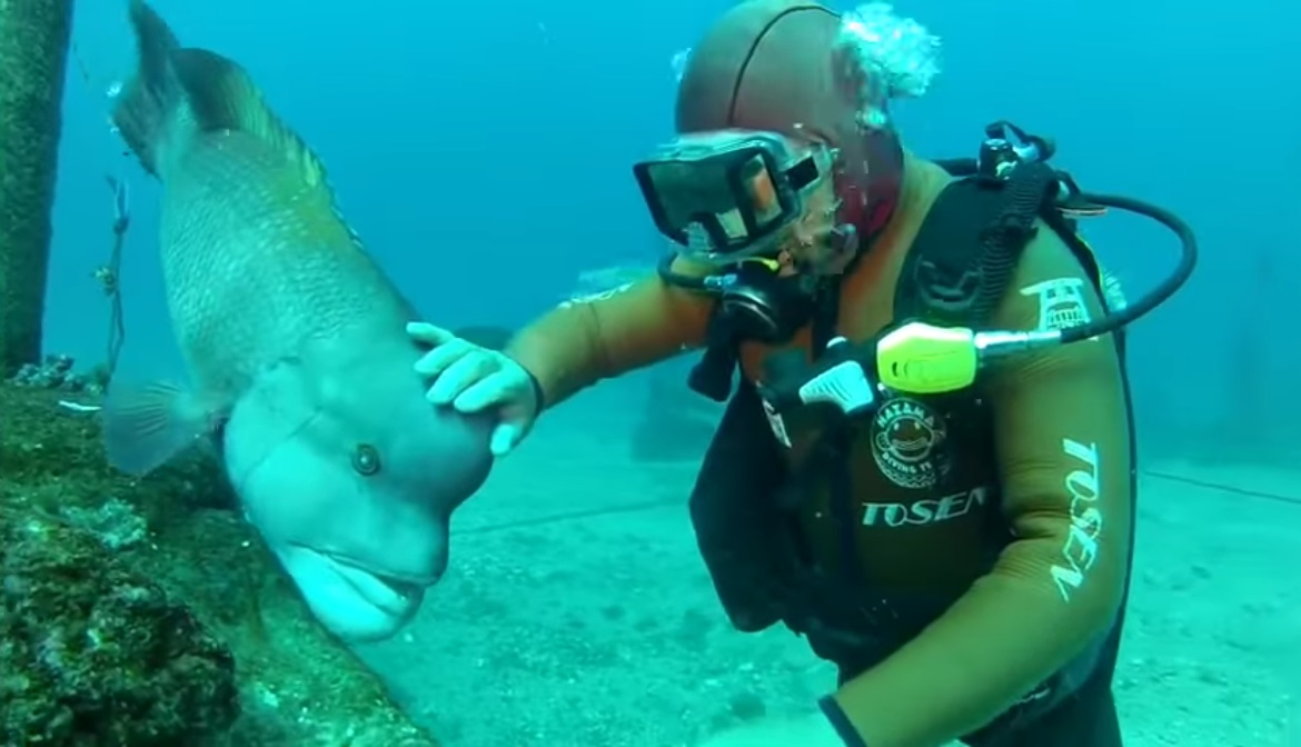 Семейство этих рыб называют морскими собачками. Теперь понятно, почему! 