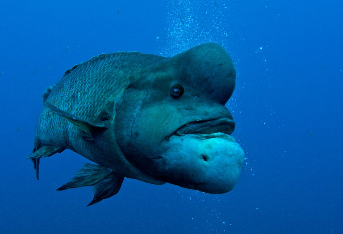 Та самая красотка, что подкачала губки всего на 0,5 миллилитра. 