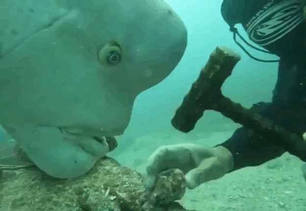 Когда обучаешь нового сотрудника с нуля. 