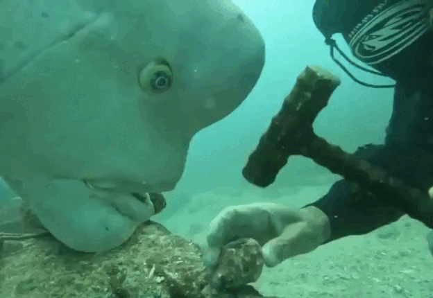 Когда обучаешь нового сотрудника с нуля. 