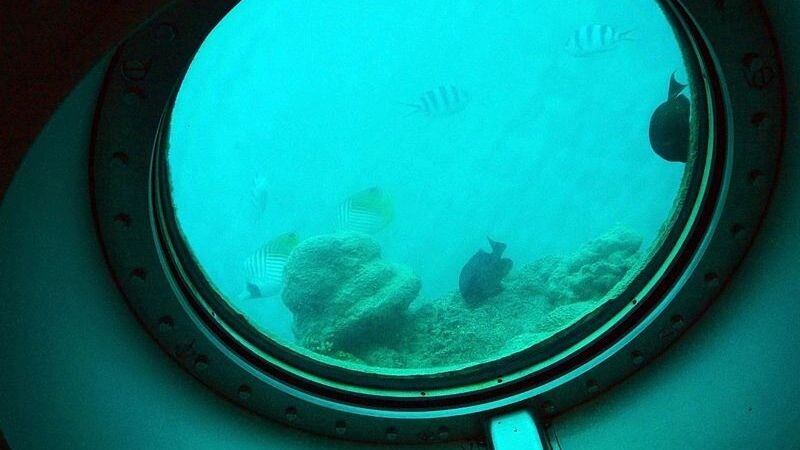    Фото: es3n/Shutterstock/Fotodom