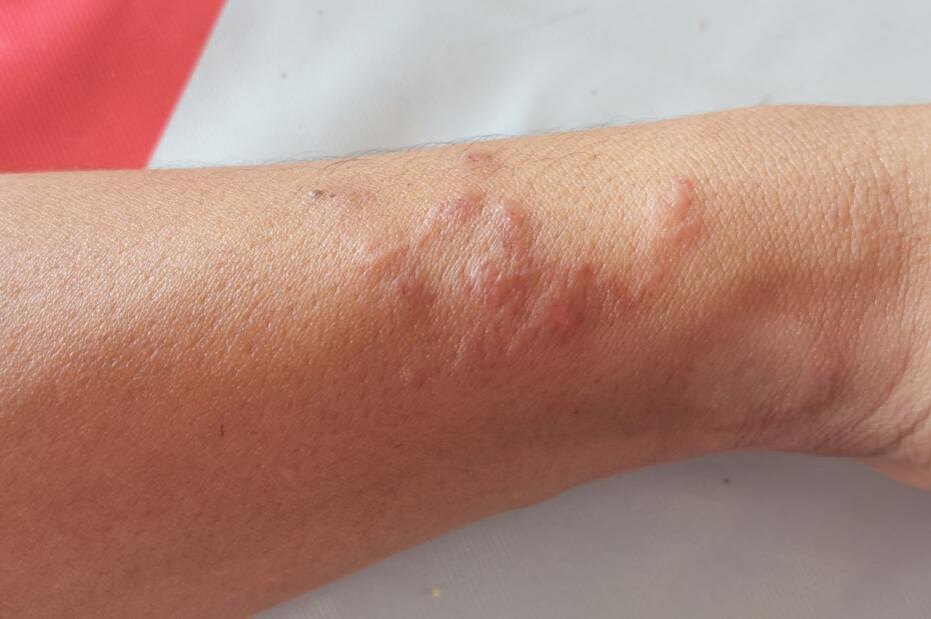    Shutterstock/FOTODOM