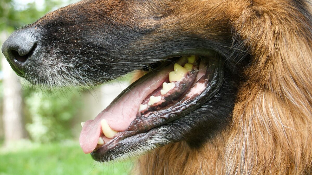    Фото: unsplash.com