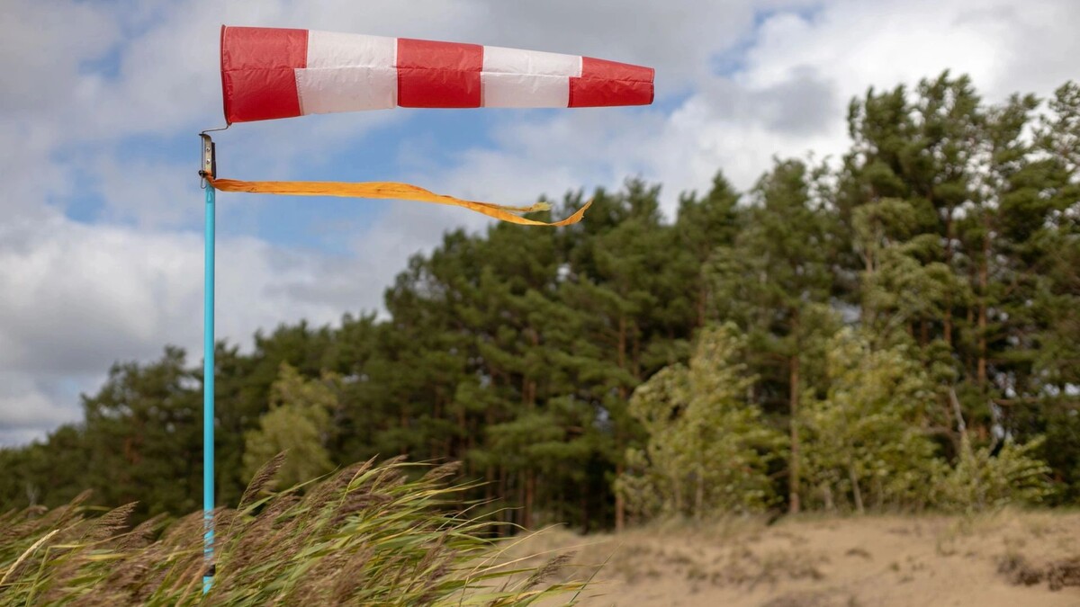    Фото: zayatsphoto/Shutterstock/Fotodom