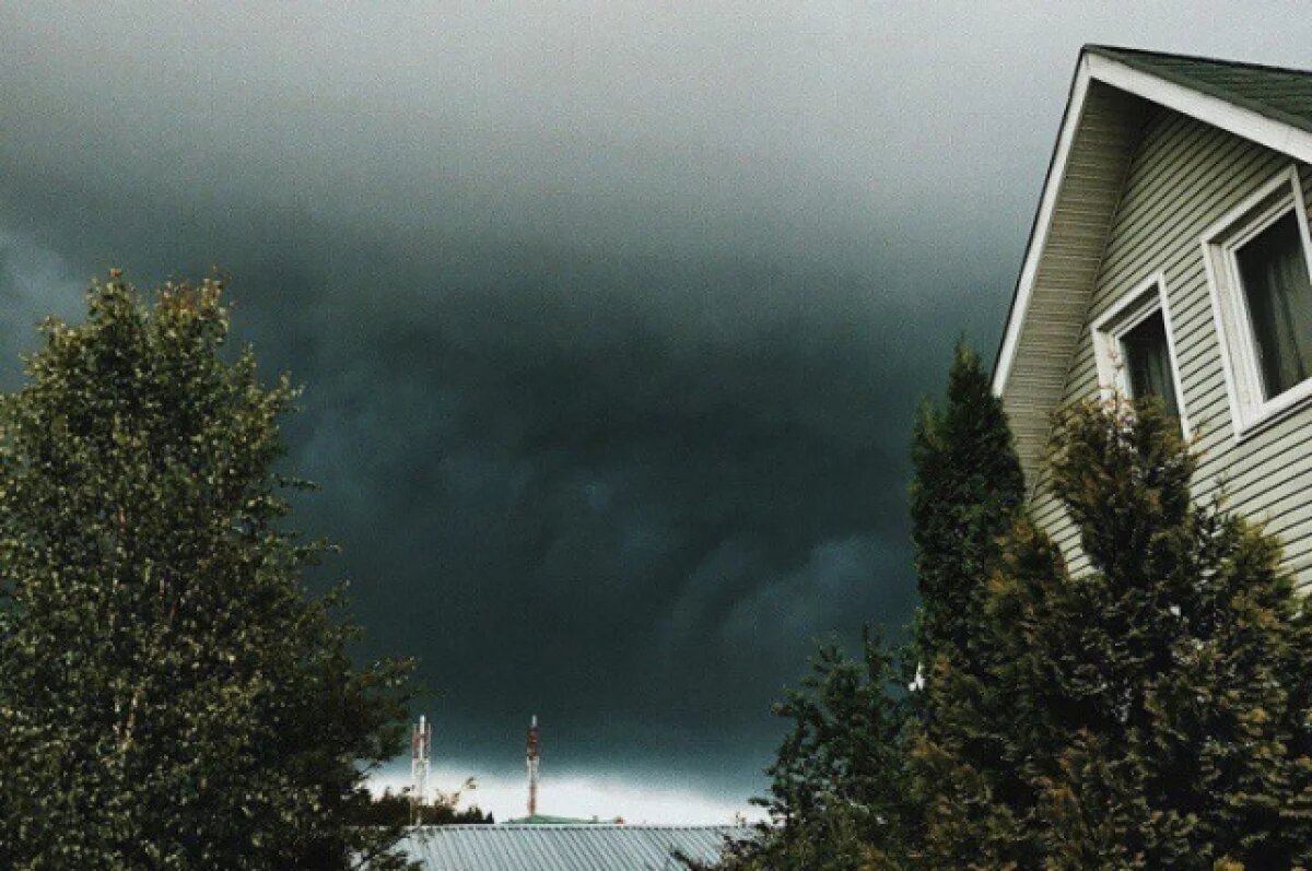    Жителям Березовского района помогут восстановить дома после урагана