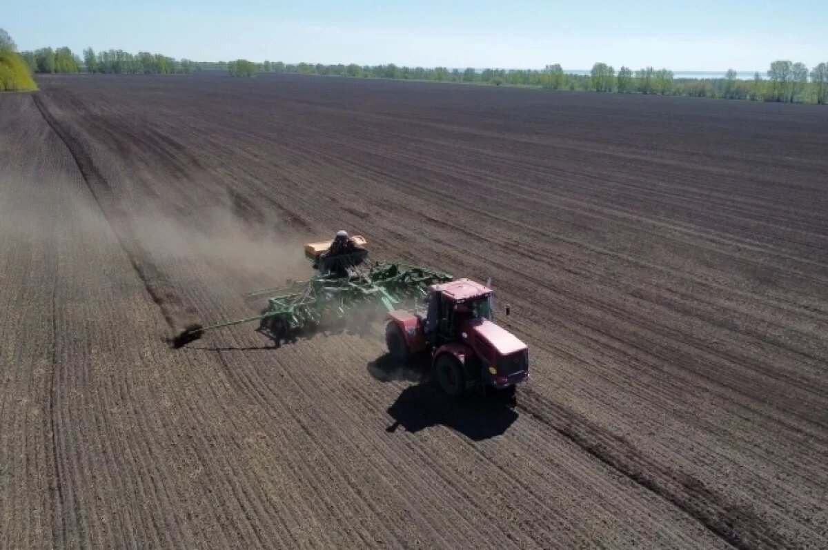    Режим ЧС из-за дождей введен в Татарском районе Новосибирской области
