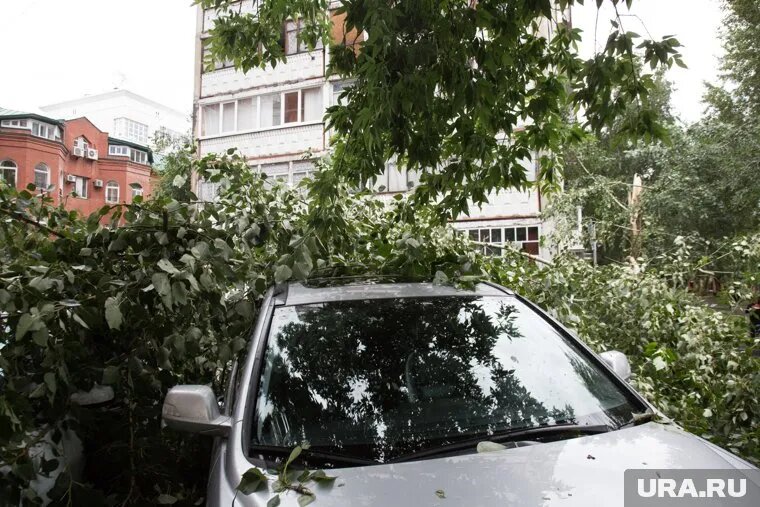 Из бюджета Кургана выплатят более 800 тысяч рублей за поврежденную иномарку (фото из архива). Фото: Дмитрий Ткачук © URA.RU