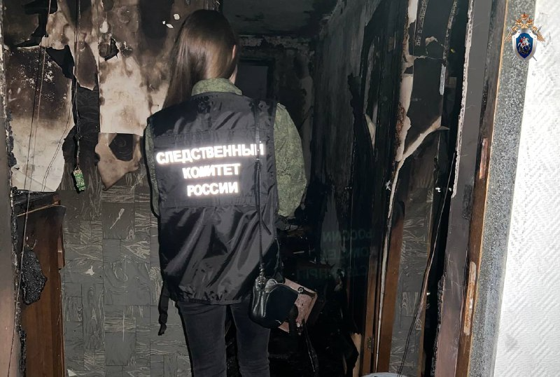    Предварительная причина пожара - неосторожное обращение с огнем