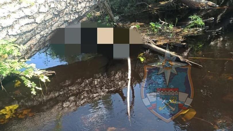    Фото: vk.com/acclo